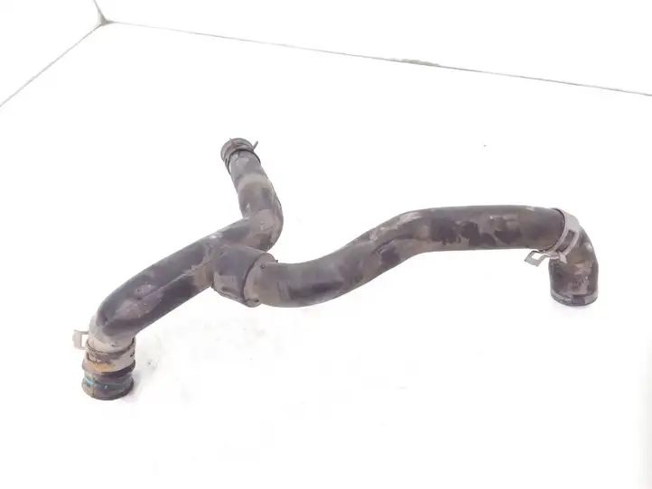 Ford Connect (2002 - 2007) 7T1Q6K869AA Шланги системы охлаждения — фото 2
