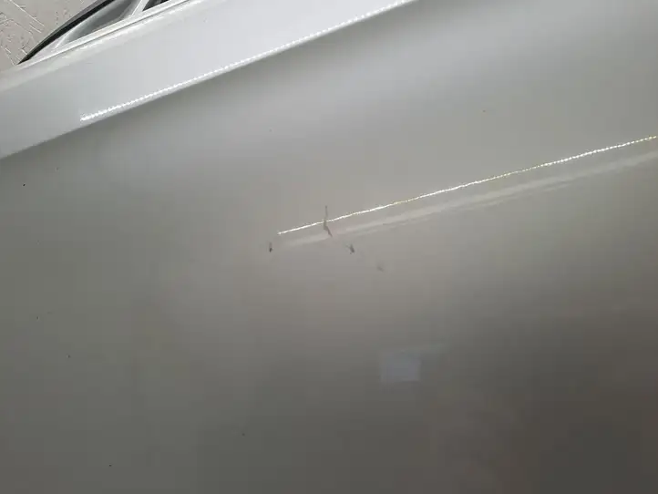 Volkswagen PASSAT CC (2008 - 2012) Дверь — фото 28