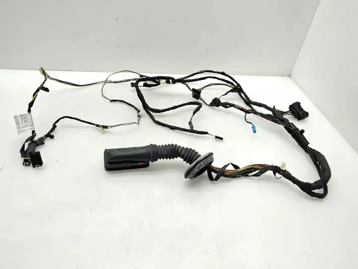 BMW 3 F30 F35 F31 (2012 - 2018) 9286209 Проводка передней двери — фото 1