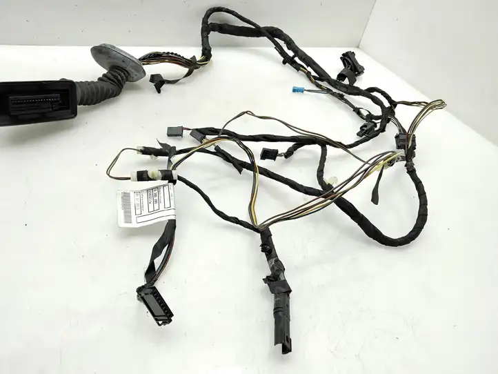 BMW 3 F30 F35 F31 (2012 - 2018) 9286209 Проводка передней двери — фото 2