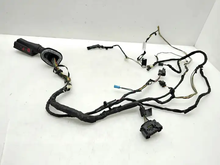 BMW 3 F30 F35 F31 (2012 - 2018) 9286209 Проводка передней двери — фото 3