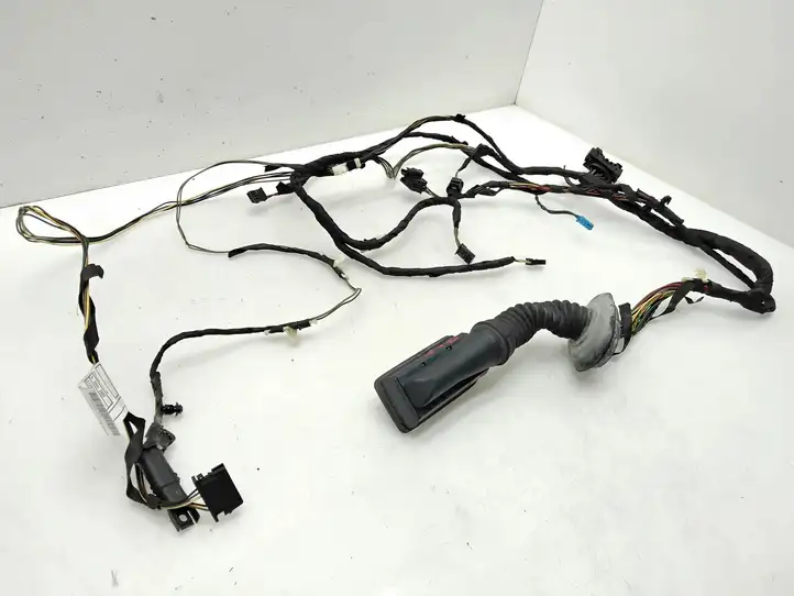 BMW 3 F30 F35 F31 (2012 - 2018) 9286209 Проводка передней двери — фото 5