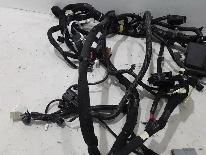 Renault Espace VI (2019 - ) 403881658R Прочая электропроводка — фото 4