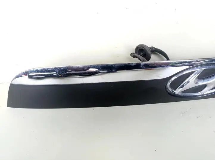 Hyundai ix 55 (2006 - 2012) 873113J000 Подсветка номера — фото 3