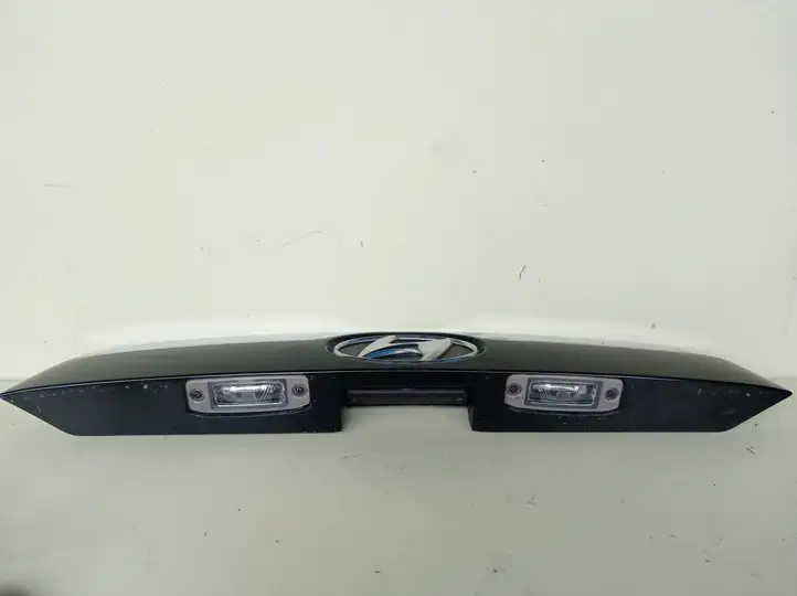 Hyundai ix 55 (2006 - 2012) 873113J000 Подсветка номера — фото 4
