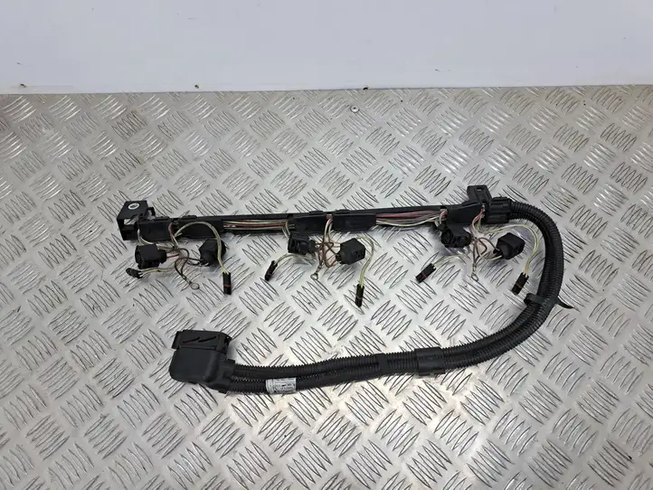 BMW 5 GT F07 (2010 - 2017) 7605076 Проводка топливных форсунок — фото 1