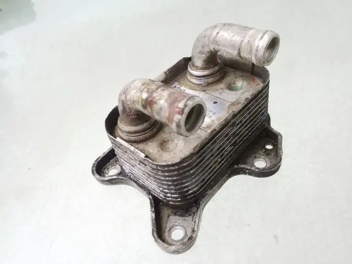 Opel Astra G (1998 - 2004) 8972220954 Кронштейн масляного фильтра — фото 1