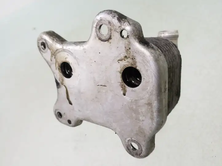 Opel Astra G (1998 - 2004) 8972220954 Кронштейн масляного фильтра — фото 2