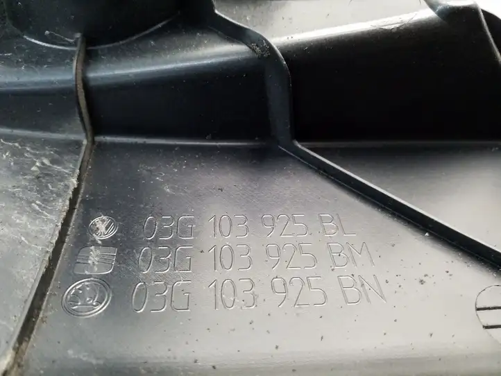 Volkswagen PASSAT B6 (2005 - 2010) 03G103925BL Крышка двигателя декоративная — фото 4
