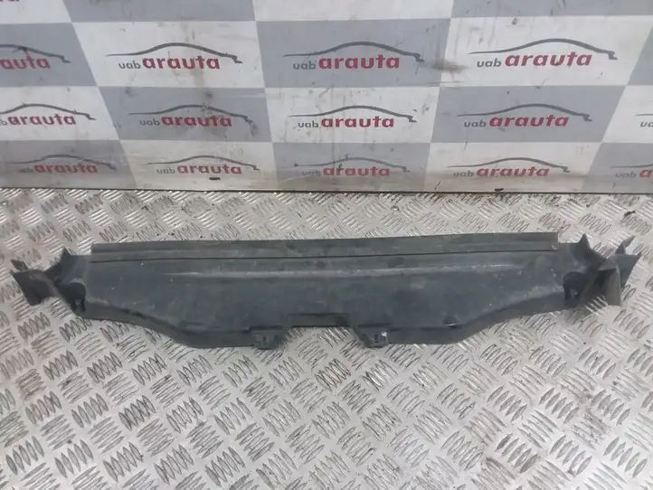 Renault Espace - Grand espace IV (2004 - 2014) 8200217930 Облицовка радиатора — фото 1