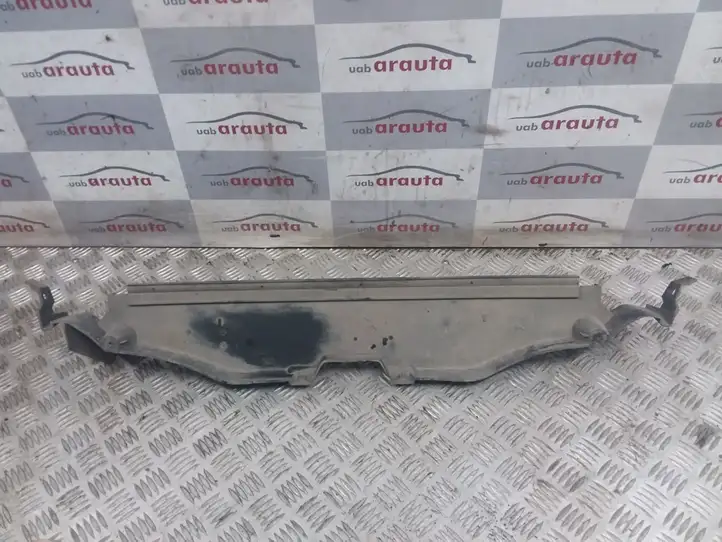Renault Espace - Grand espace IV (2004 - 2014) 8200217930 Облицовка радиатора — фото 3