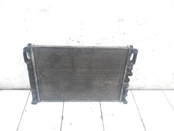 Mercedes-Benz E W211 (2002 - 2009) A2115001302 Радиатор охлаждающей жидкости двигателя — фото 1