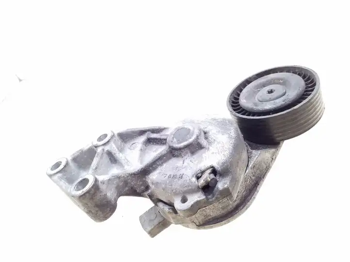 Volkswagen Sharan (2000 - 2003) 038903315AE Натяжитель ремня генератора — фото 1