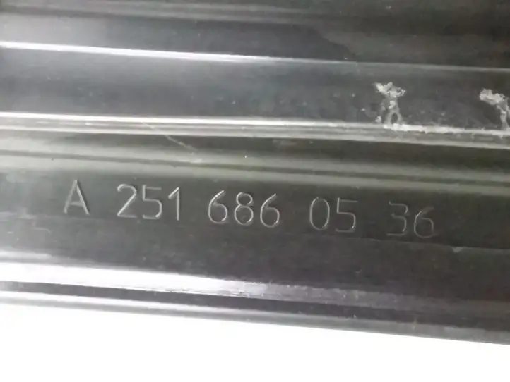Mercedes-Benz R W251 (2005 - 2013) A2516860536 Внутренняя отделка заднего порога — фото 3