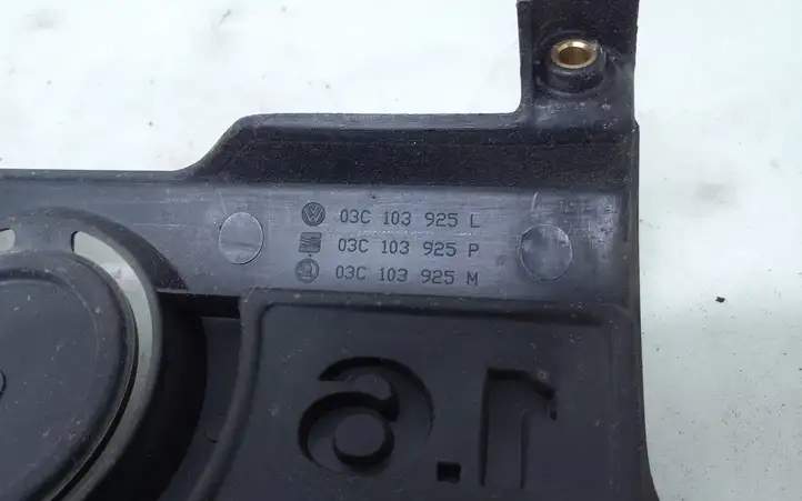 Seat Ibiza III (6L) (2002 - 2008) 03C103925P Крышка двигателя декоративная — фото 4