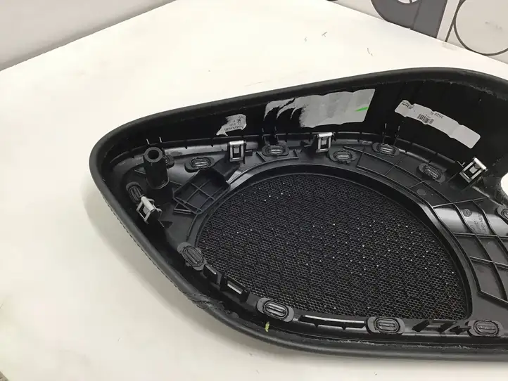 Audi R8 4S (2015 - ) 109921 Накладка динамика задней двери — фото 2
