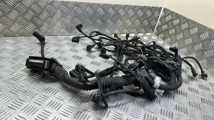 Mini One Cooper R56   7804207 Проводка двигателя