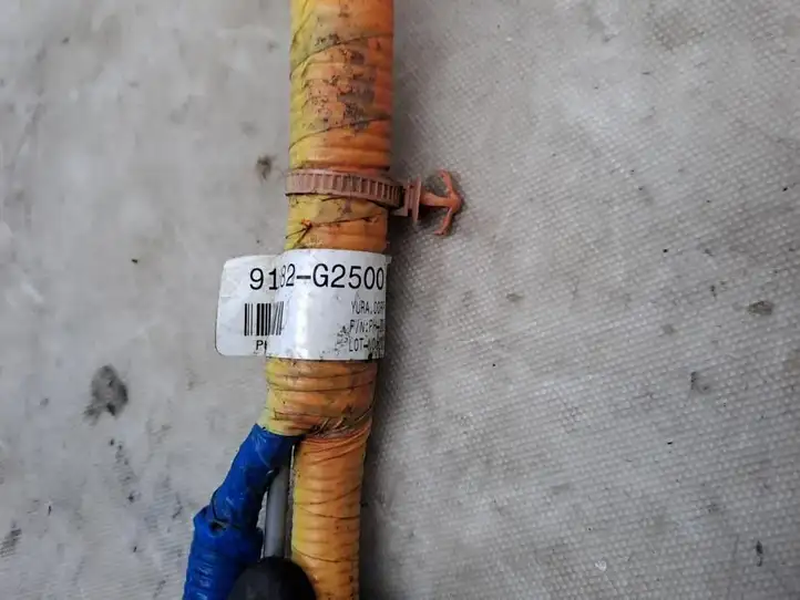 Hyundai Ioniq (2016 - )  DH100B0001 Розетка для зарядки электромобиля