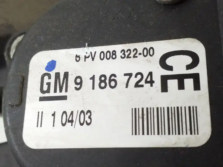 Opel Signum (2002 - 2008) 9186724 Педаль акселератора — фото 2
