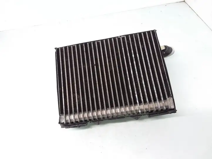 Volkswagen PASSAT B5.5 (2001 - 2005) 8D1820103D Испаритель кондиционера — фото 2