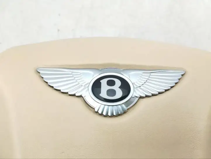 Bentley Continental (2003 - 2017) 3W0880206D Подушка безопасности руля — фото 2