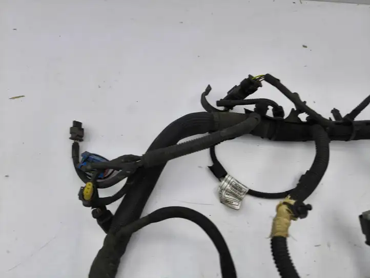 Mini Countryman   7603384 Проводка двигателя