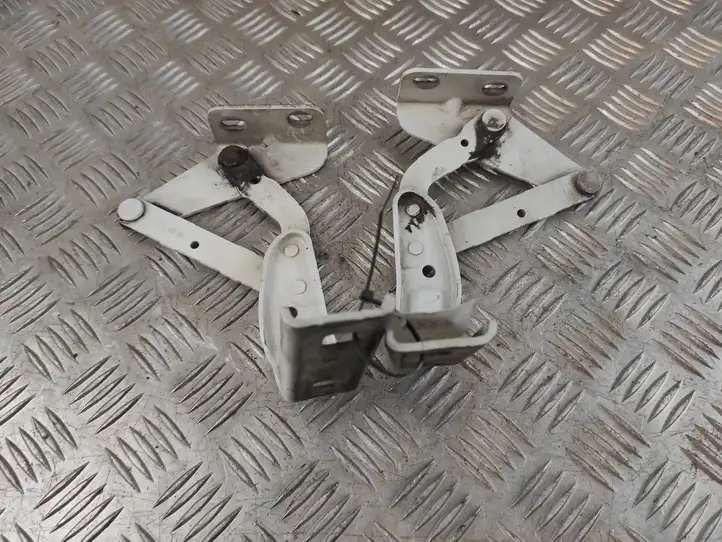 Renault Master II (2004 - 2010) 124413906 Петли капота — фото 4