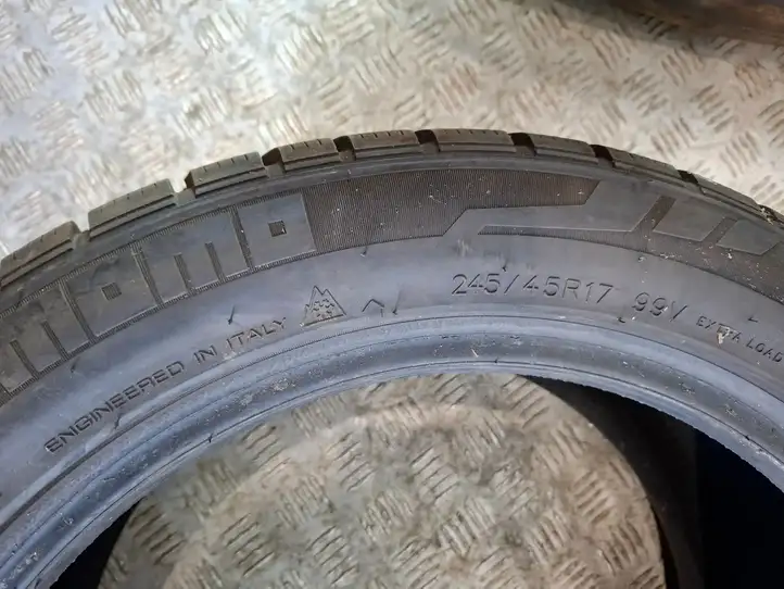 Citroen Berlingo (2012 - 2015) 24545R17 Зимняя шина R17 — фото 2