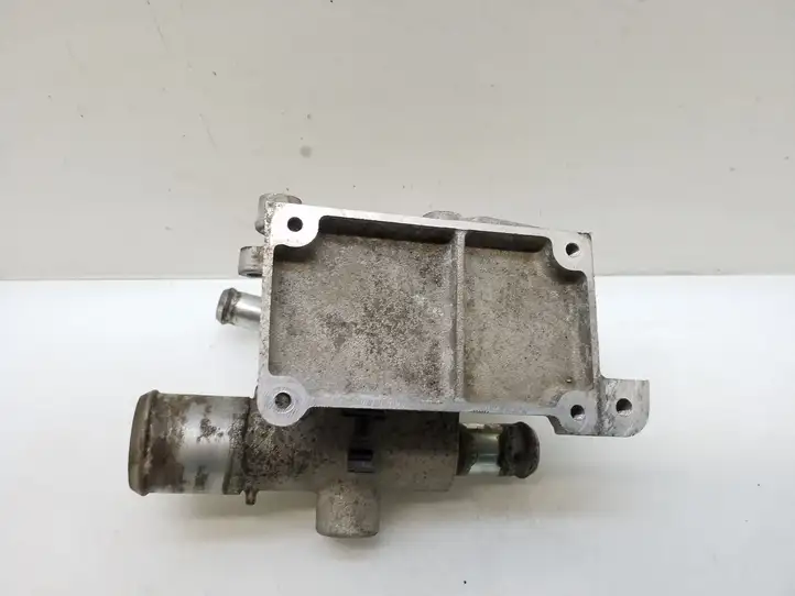 Ford S-MAX (2006 - 2010) 1S7G8K556AJ Термостат — фото 5
