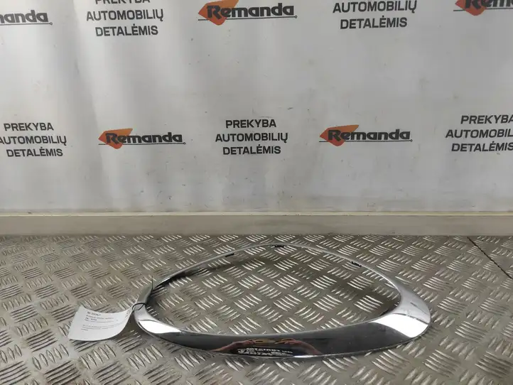 Mini Cooper Countryman R60 (2010 - 2016) 224059 Окантовка фары — фото 3