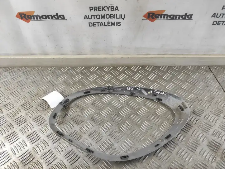 Mini Cooper Countryman R60 (2010 - 2016) 224059 Окантовка фары — фото 4