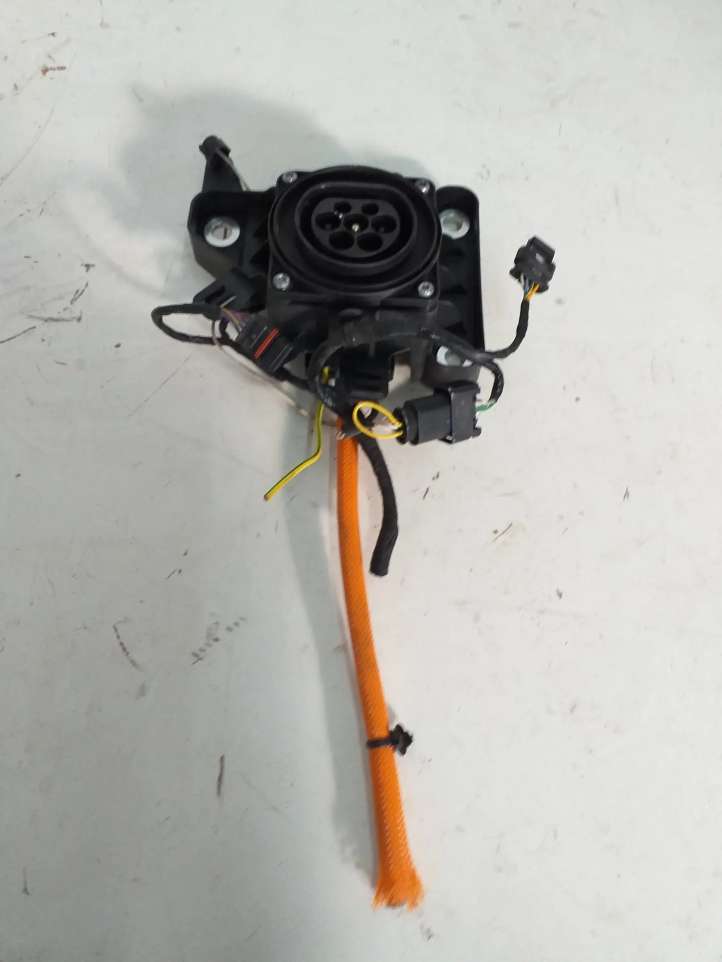 9455543 BMW 3 G20 G21 Elektromobilio įkrovimo lizdas