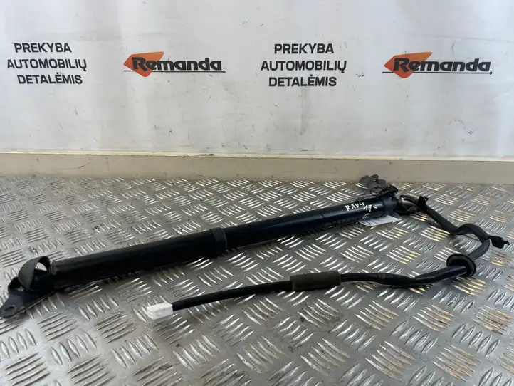 Toyota RAV 4 (XA40) (2012 - 2018) 6891042040 Амортизатор крышки багажника — фото 2