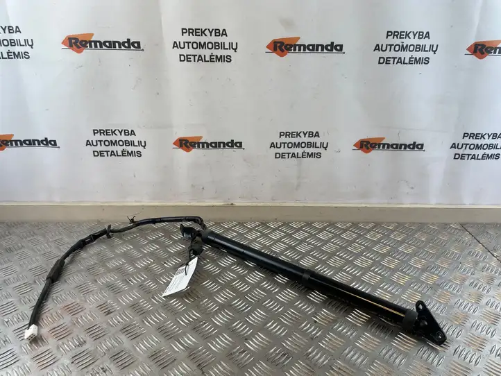 Toyota RAV 4 (XA40) (2012 - 2018) 6892042040 Амортизатор крышки багажника — фото 1