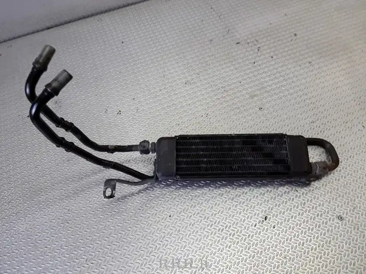 Opel Astra G (1998 - 2004) 09129354 Радиатор масла двигателя — фото 2