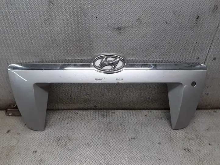 Hyundai Tucson JM (2004 - 2009) Подсветка номера — фото 1