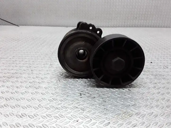Peugeot 607 (2000 - 2004) Натяжитель ремня — фото 1