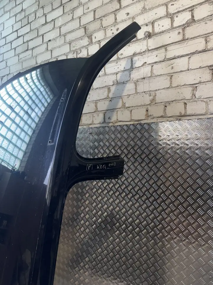 Skoda Kodiaq (2017 - ) Крыша — фото 6