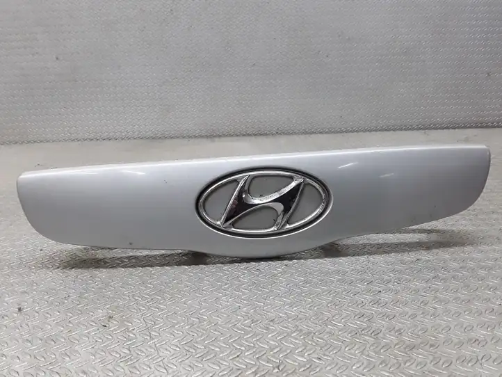Hyundai Getz (2002 - 2005) 8731010000 Подсветка номера — фото 1