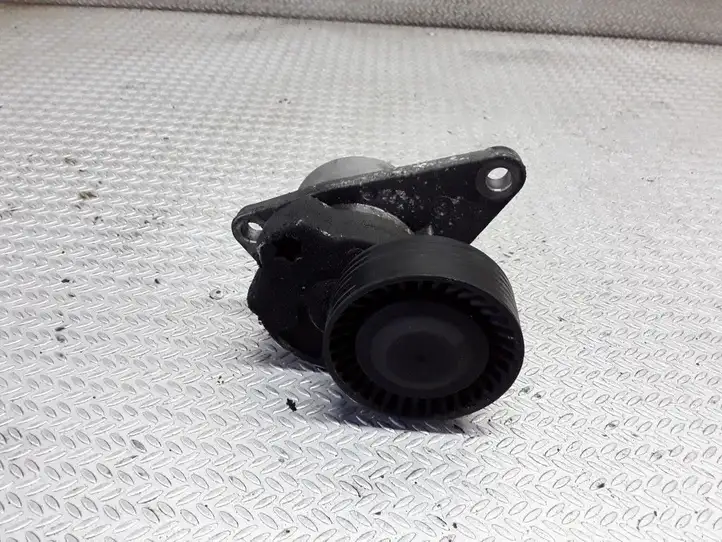 Volvo S80 (1998 - 2004) Натяжитель ремня — фото 1