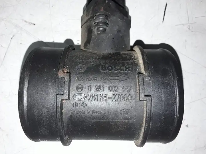 Hyundai Santa Fe (2000 - 2005) 0281002447 Датчик массового расхода воздуха — фото 3