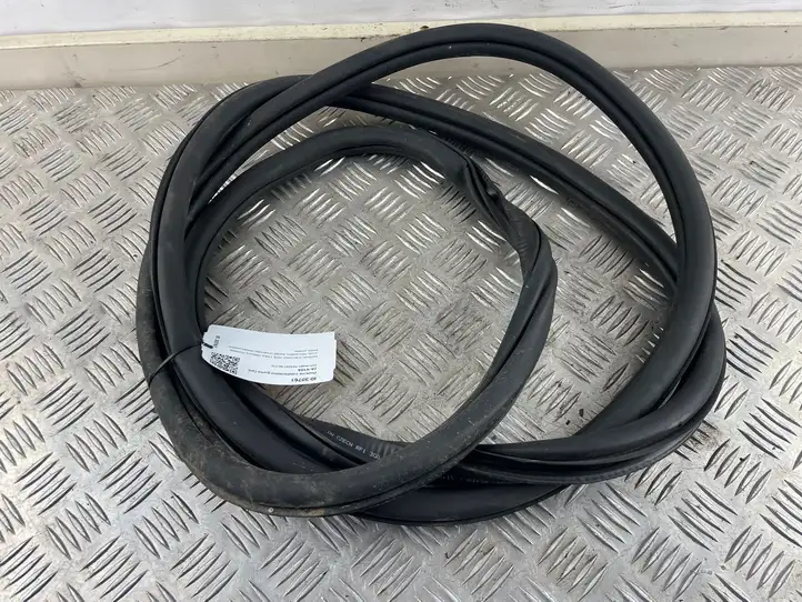 Volkswagen PASSAT B8 (2015 - ) 3G0867911H Уплотнитель передней двери — фото 2