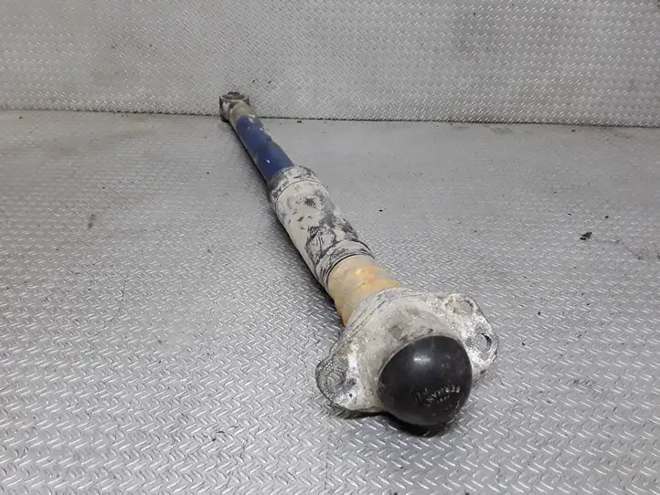 Volkswagen Golf IV (1998 - 2005)   Задний амортизатор с пружиной