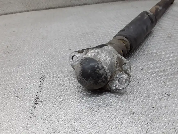 Audi A3/S3 8L (1996 - 2000)   Задний амортизатор с пружиной