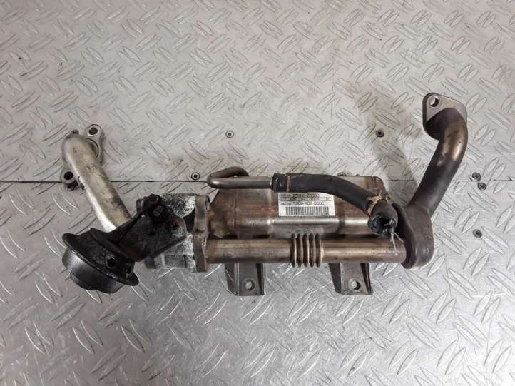 2568026030 Lexus IS 220D-250-350 EGR aušintuvas