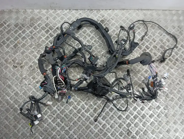 Toyota RAV 4 (XA50) (2018 - ) 8281542250 Прочая электропроводка — фото 6