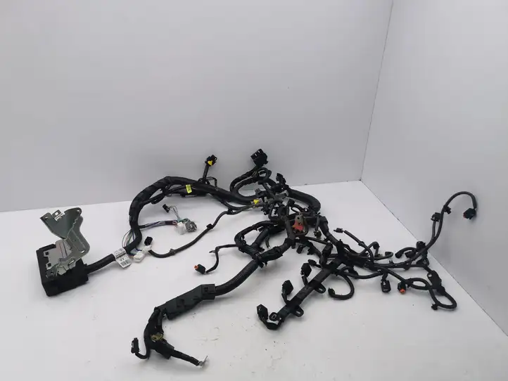 Nissan Qashqai (2017 - 2020) 24011HV71C Проводка двигателя — фото 1