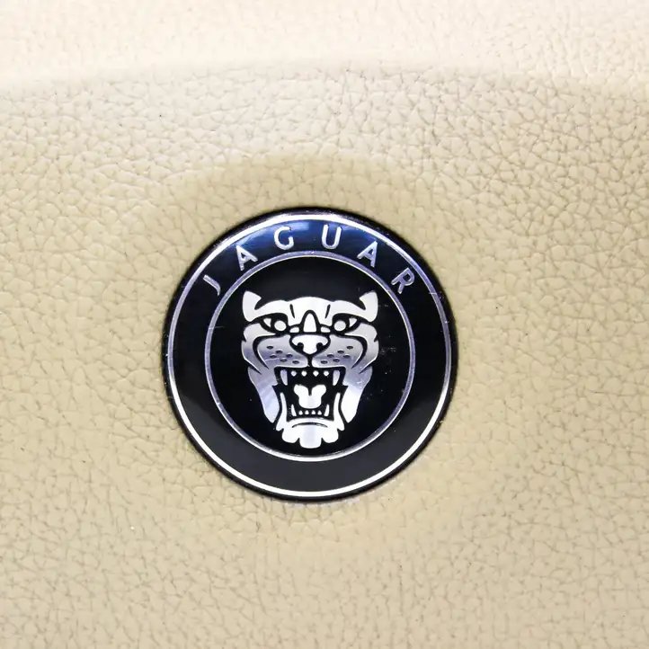 Jaguar XK - XKR (2006 - 2009) 6W83043B13AB Подушка безопасности руля — фото 2