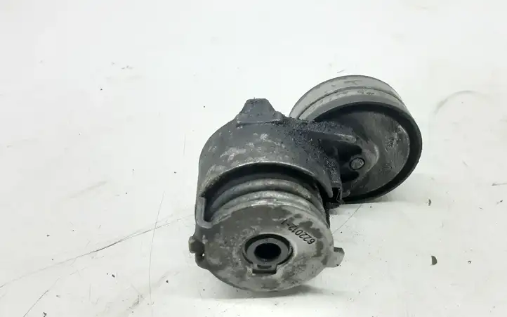 Renault Trafic II (X83) (2002 - 2014) 9506221622 Натяжитель ремня — фото 1
