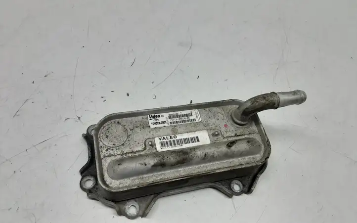 Toyota Corolla Verso AR10 (2004 - 2009) 157100R01000 Кронштейн масляного фильтра — фото 1